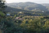 Azinhal e Amendoeira