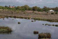 Naturschutzgebiet Ria Formosa