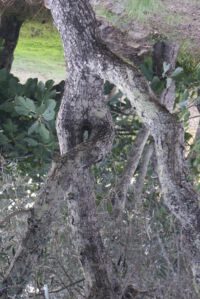 auf den Kopf gestellt