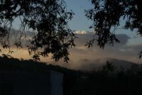 Nebel wabern übers Land