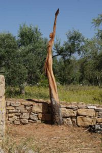 schlankundrank vom Künstler Otto Beer